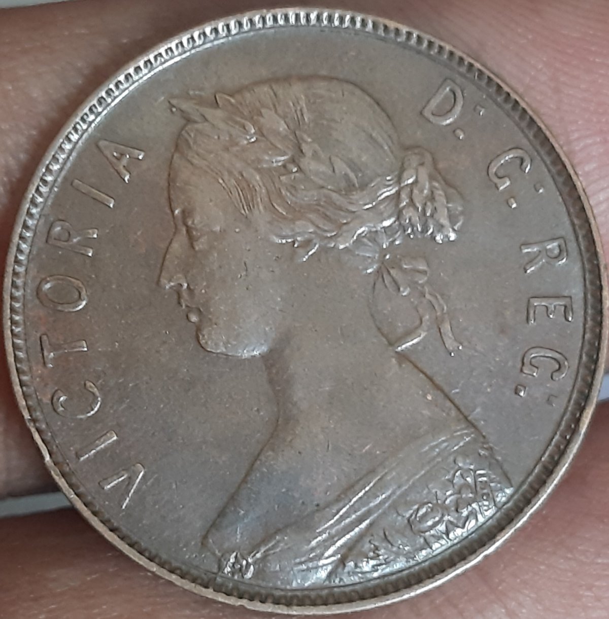 1876-H-New-Foundland-1-Cent